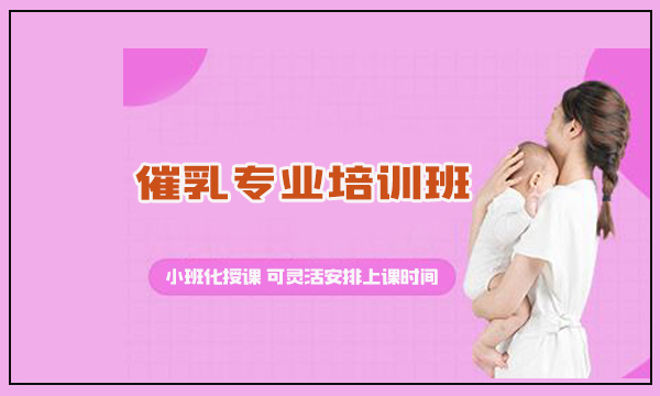 精品小班课之 《催乳专业培训班》 招生简章