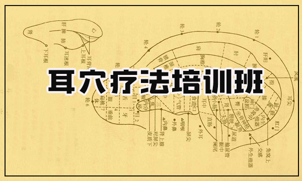 精品小班课之 《耳穴疗法培训班》 招生简章